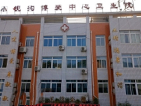 СԺ